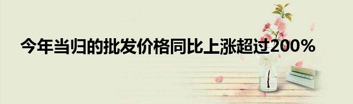 今年当归的批发价格同比上涨超过200%