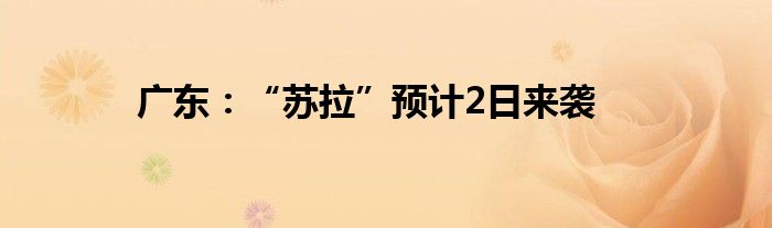广东:“苏拉”预计2日来袭