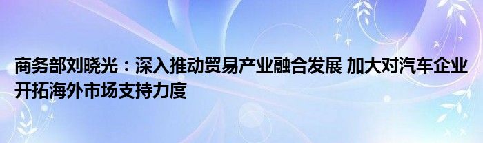 商务部刘晓光：深入推动贸易产业融合发展 加大对汽车企业开拓海外市场支持力度