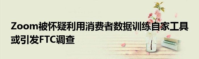 Zoom被怀疑利用消费者数据训练自家工具 或引发FTC调查
