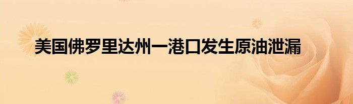 美国佛罗里达州一港口发生原油泄漏