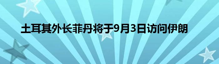 土耳其外长菲丹将于9月3日访问伊朗
