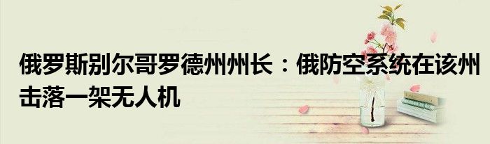 俄罗斯别尔哥罗德州州长：俄防空系统在该州击落一架无人机