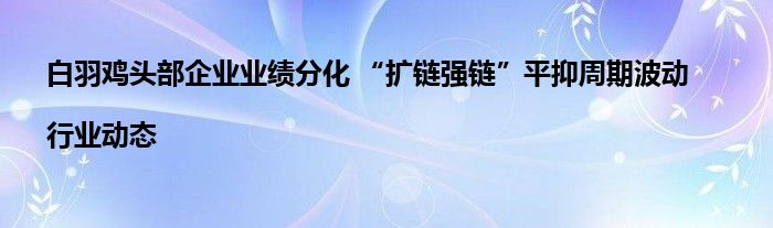 白羽鸡头部企业业绩分化 “扩链强链”平抑周期波动|行业动态