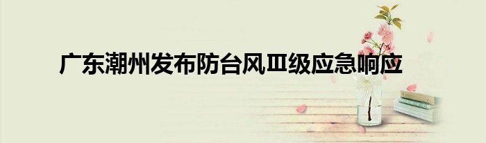 广东潮州发布防台风Ⅲ级应急响应