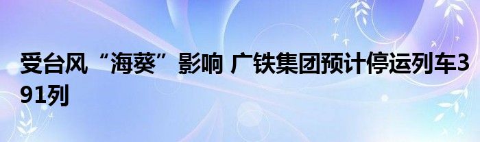 受台风“海葵”影响 广铁集团预计停运列车391列