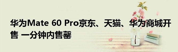 华为Mate 60 Pro京东、天猫、华为商城开售 一分钟内售罄