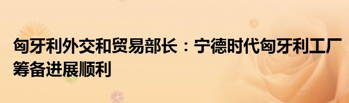 匈牙利外交和贸易部长:宁德时代匈牙利工厂筹备进展顺利