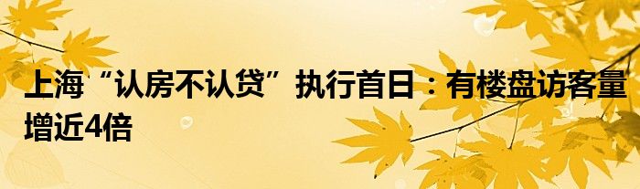 上海“认房不认贷”执行首日:有楼盘访客量增近4倍