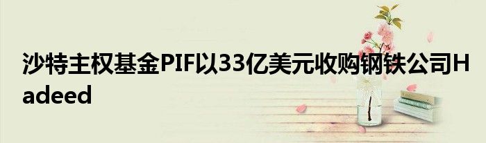 沙特主权基金PIF以33亿美元收购钢铁公司Hadeed