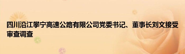 四川沿江攀宁高速公路有限公司党委书记、董事长刘文接受审查调查