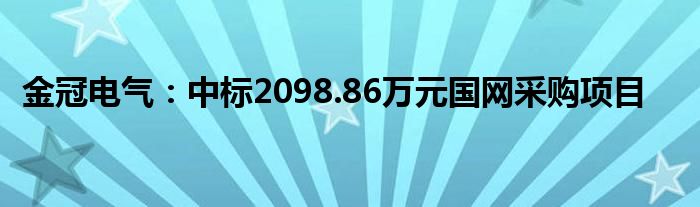 金冠电气：中标2098.86万元国网采购项目