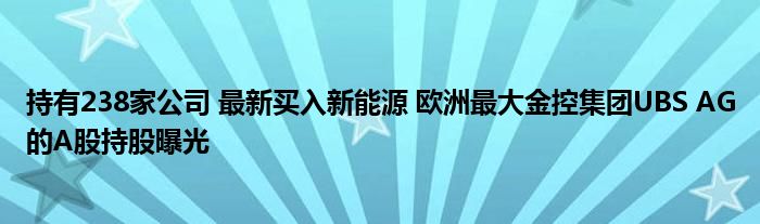 持有238家公司 最新买入新能源 欧洲最大金控集团UBS AG的A股持股曝光