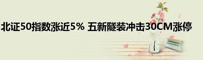北证50指数涨近5% 五新隧装冲击30CM涨停