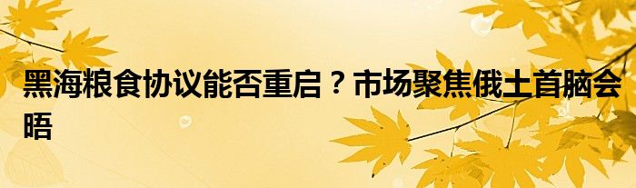 黑海粮食协议能否重启？市场聚焦俄土首脑会晤