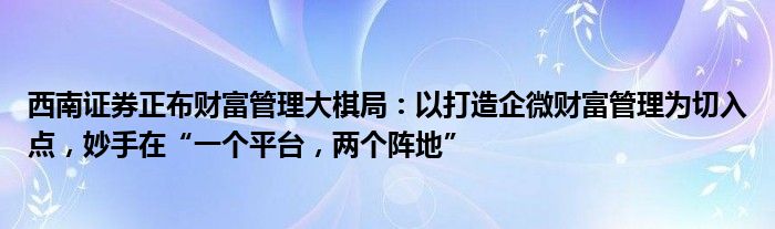 西南证券正布财富管理大棋局：以打造企微财富管理为切入点，妙手在“一个平台，两个阵地”