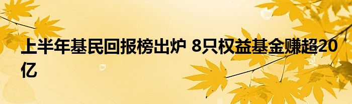 上半年基民回报榜出炉 8只权益基金赚超20亿