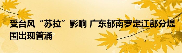 受台风“苏拉”影响 广东郁南罗定江部分堤围出现管涌