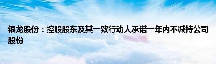 银龙股份：控股股东及其一致行动人承诺一年内不减持公司股份