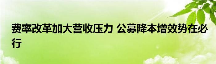 费率改革加大营收压力 公募降本增效势在必行