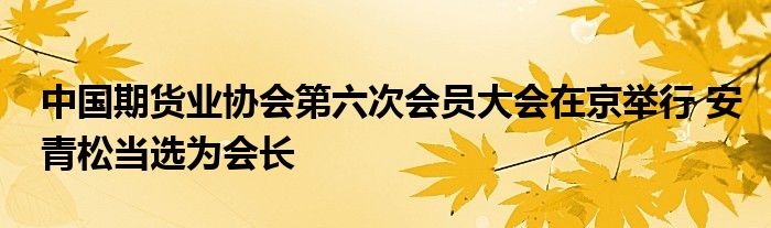 中国期货业协会第六次会员大会在京举行 安青松当选为会长