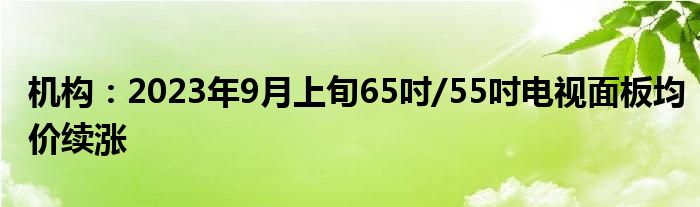 机构:2023年9月上旬65吋/55吋电视面板均价续涨