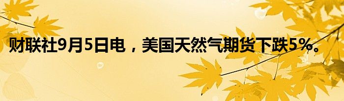 财联社9月5日电，美国天然气期货下跌5%。