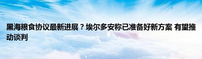 黑海粮食协议最新进展?埃尔多安称已准备好新方案 有望推动谈判
