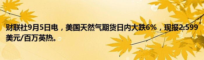 财联社9月5日电,美国天然气期货日内大跌6%,现报2.599美元/百万英热。