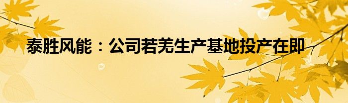 泰胜风能：公司若羌生产基地投产在即