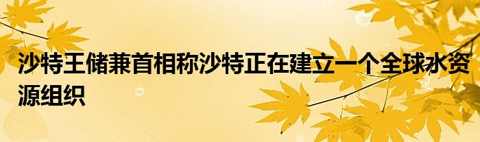 沙特王储兼首相称沙特正在建立一个全球水资源组织