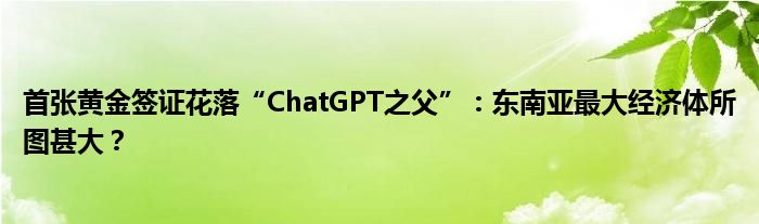 首张黄金签证花落“ChatGPT之父”:东南亚最大经济体所图甚大?
