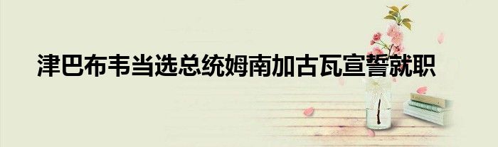 津巴布韦当选总统姆南加古瓦宣誓就职