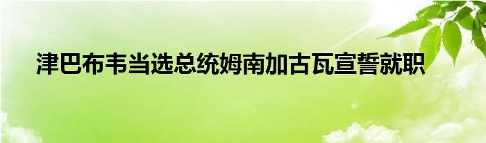 津巴布韦当选总统姆南加古瓦宣誓就职