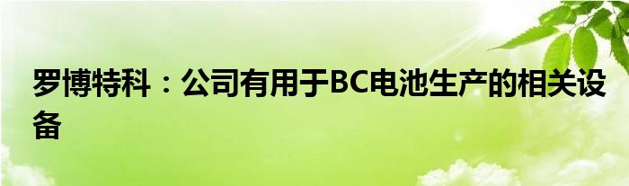 罗博特科:公司有用于BC电池生产的相关设备