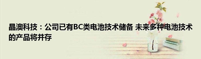 晶澳科技:公司已有BC类电池技术储备 未来多种电池技术的产品将并存