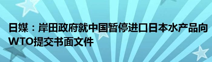 日媒:岸田政府就中国暂停进口日本水产品向WTO提交书面文件
