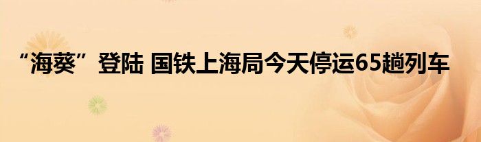 “海葵”登陆 国铁上海局今天停运65趟列车