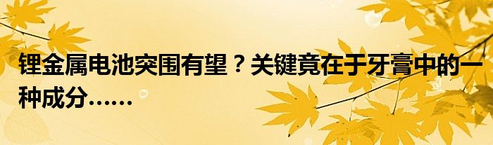 锂金属电池突围有望?关键竟在于牙膏中的一种成分……