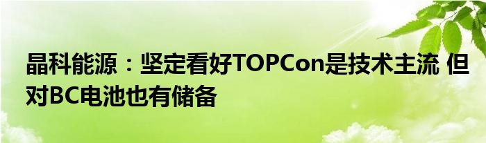 晶科能源:坚定看好TOPCon是技术主流 但对BC电池也有储备