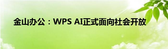 金山办公:WPS AI正式面向社会开放
