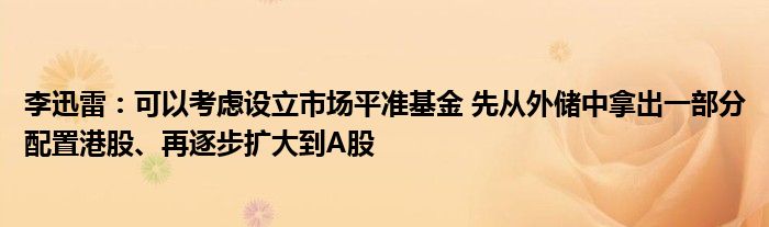 李迅雷:可以考虑设立市场平准基金 先从外储中拿出一部分配置港股、再逐步扩大到A股