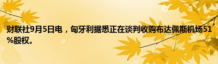 财联社9月5日电，匈牙利据悉正在谈判收购布达佩斯机场51%股权。