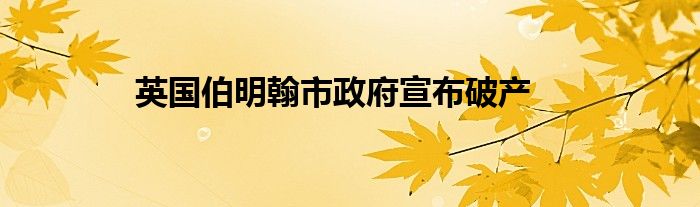 英国伯明翰市政府宣布破产