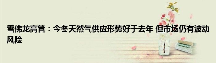 雪佛龙高管:今冬天然气供应形势好于去年 但市场仍有波动风险
