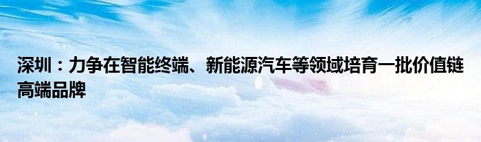 深圳：力争在智能终端、新能源汽车等领域培育一批价值链高端品牌