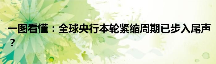 一图看懂:全球央行本轮紧缩周期已步入尾声?