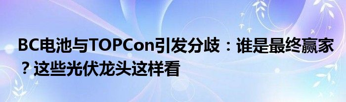 BC电池与TOPCon引发分歧:谁是最终赢家?这些光伏龙头这样看