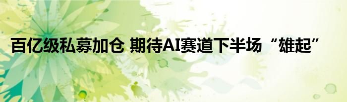 百亿级私募加仓 期待AI赛道下半场“雄起”