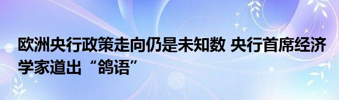 欧洲央行政策走向仍是未知数 央行首席经济学家道出“鸽语”